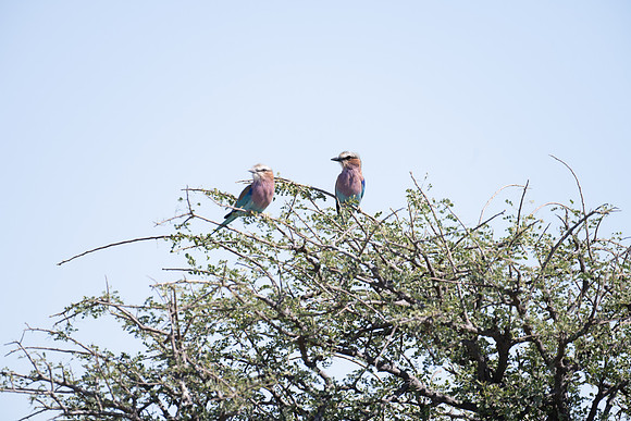 20220419_namibia-20755.jpg