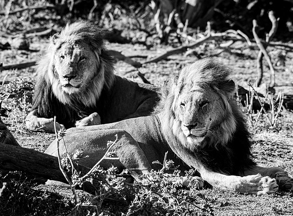 20220419_namibia-8086-2.jpg