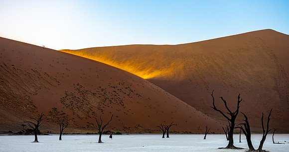 20220419_namibia-6199.jpg