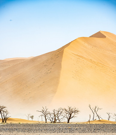 20220419_namibia-5533.jpg