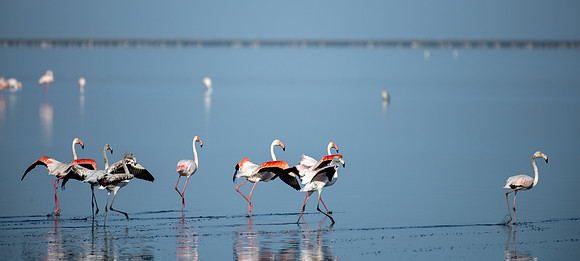 20220419_namibia-11605.jpg