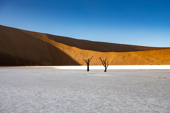 20220419_namibia-5641.jpg