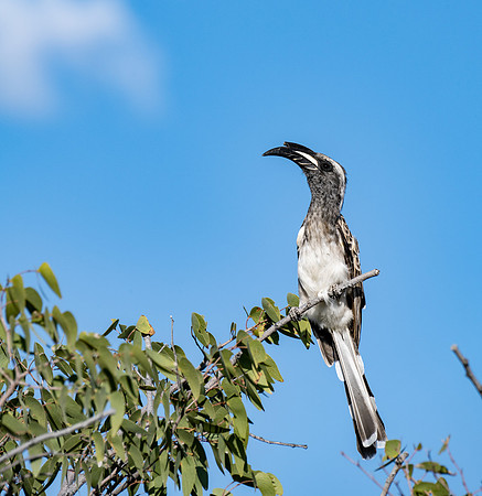 20220419_namibia-18435.jpg