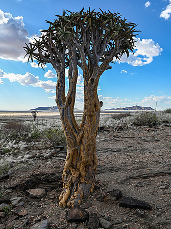 20220419_namibia-4955.jpg