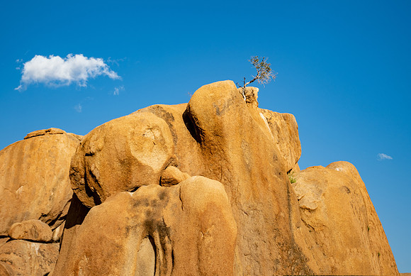 20220419_namibia-14436-Edit.jpg