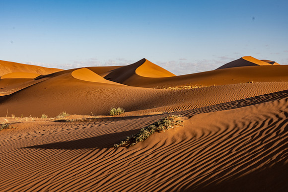 20220419_namibia-9201.jpg