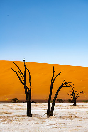20220419_namibia-6412.jpg