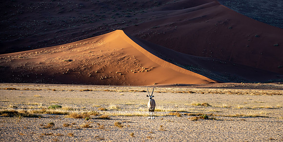 20220419_namibia-6994.jpg