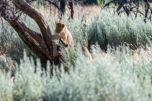 20220419_namibia-7249-2.jpg