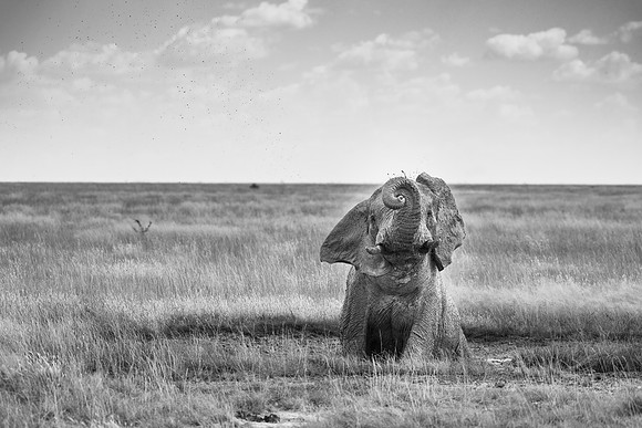 20220419_namibia-20874-2.jpg
