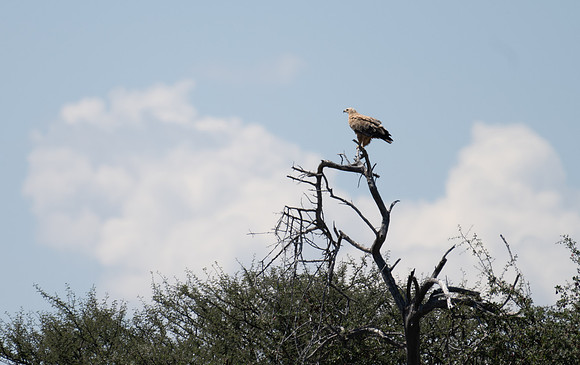 20220419_namibia-21804.jpg