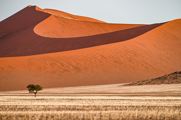 20220419_namibia-3681.jpg