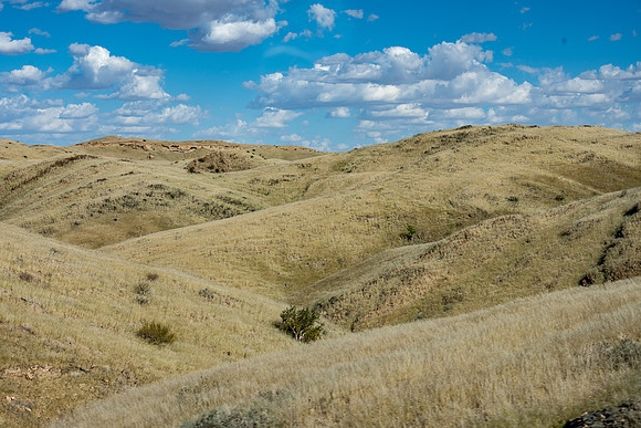 20220419_namibia-9340.jpg