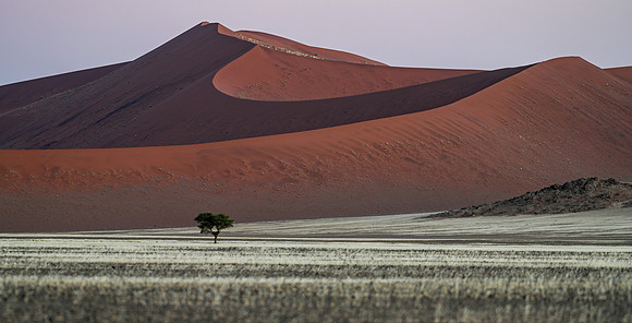 20220419_namibia-7574.jpg