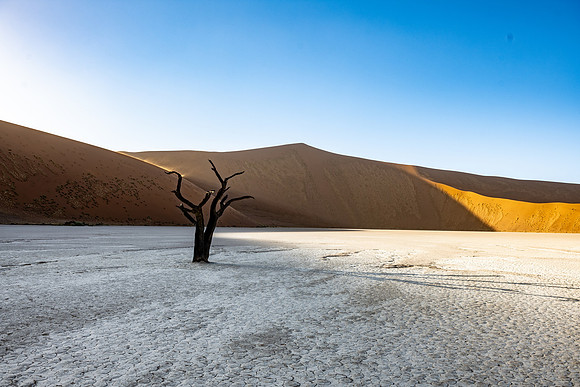 20220419_namibia-6658.jpg