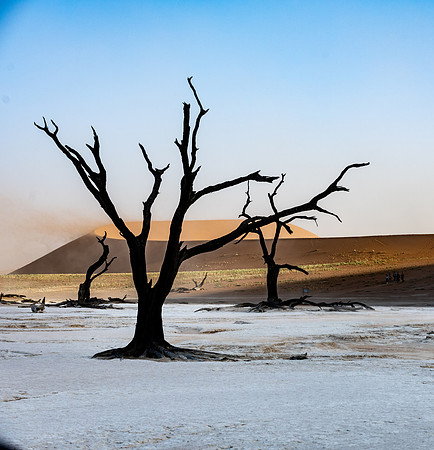 20220419_namibia-6246.jpg