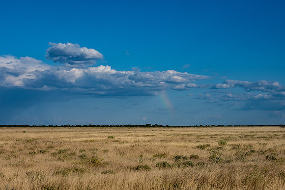 20220419_namibia-17727.jpg