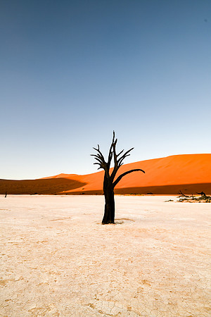 20220419_namibia-2952.jpg