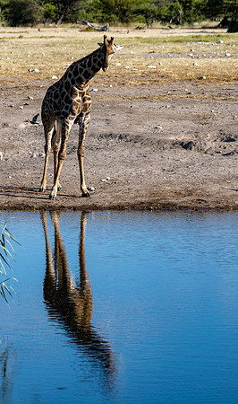20220419_namibia-21006.jpg