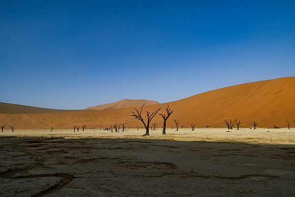 20220419_namibia-2969.jpg