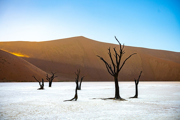 20220419_namibia-6465.jpg