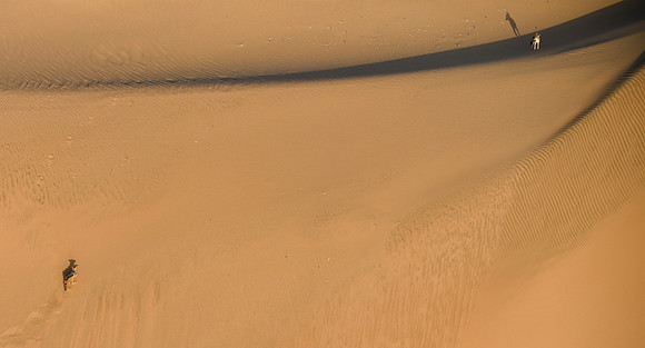 20220419_namibia-1729.jpg