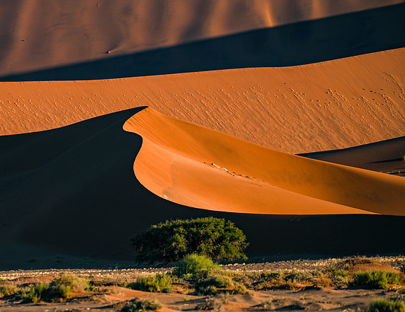 20220419_namibia-7310.jpg