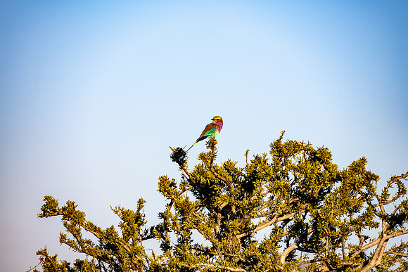 20220419_namibia-510.jpg