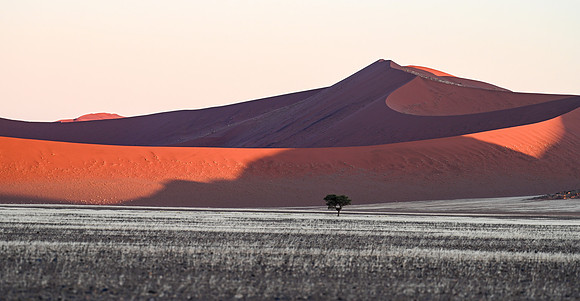 20220419_namibia-7565.jpg