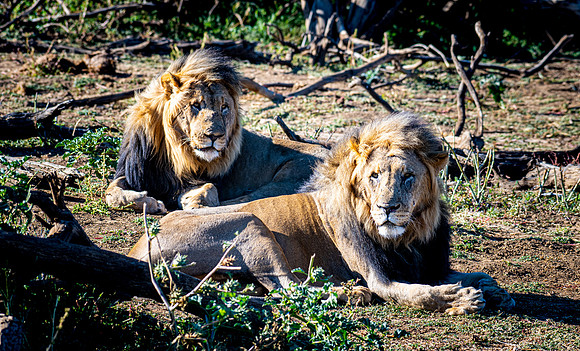 20220419_namibia-7380.jpg
