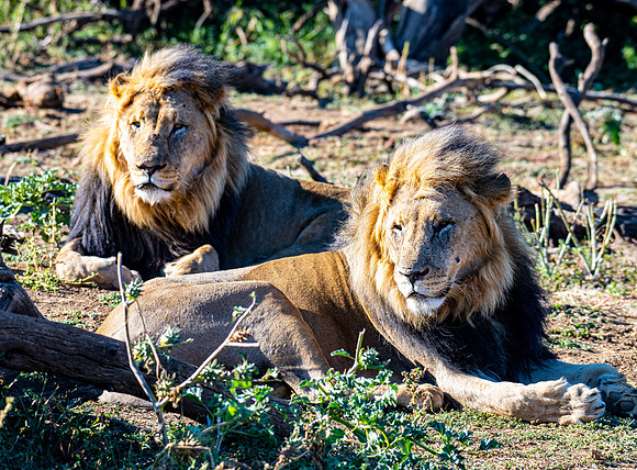 20220419_namibia-8086.jpg