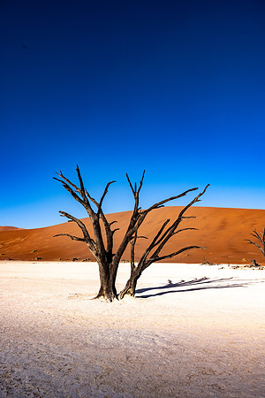 20220419_namibia-6888.jpg