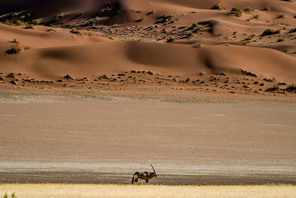 20220419_namibia-6904.jpg