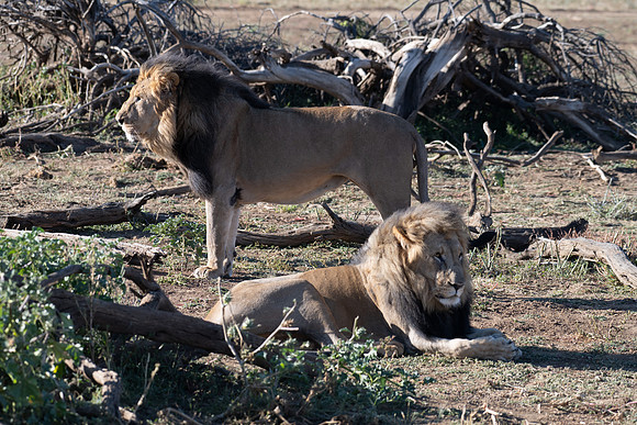 20220419_namibia-7370.jpg