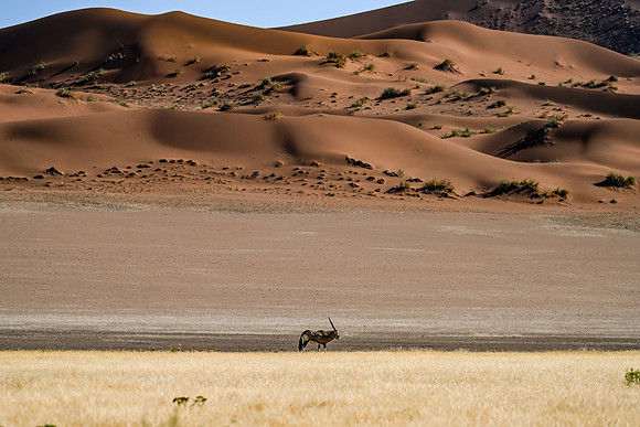 20220419_namibia-6908.jpg