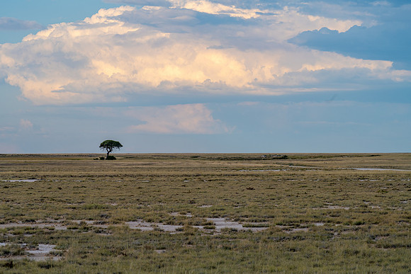 20220419_namibia-15994.jpg