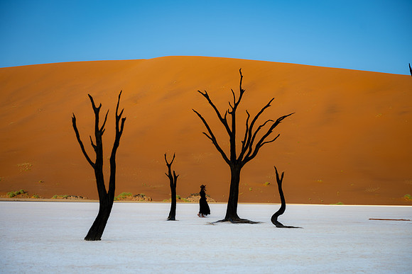 20220419_namibia-6597.jpg