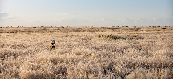 20220419_namibia-16793.jpg