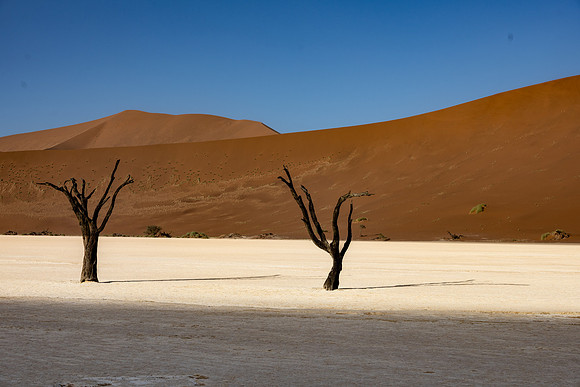 20220419_namibia-6426.jpg