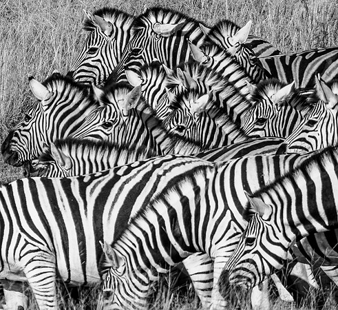 20220419_namibia-18125-2.jpg