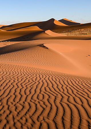 20220419_namibia-4493.jpg
