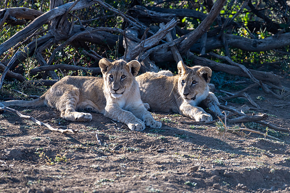 20220419_namibia-7519.jpg