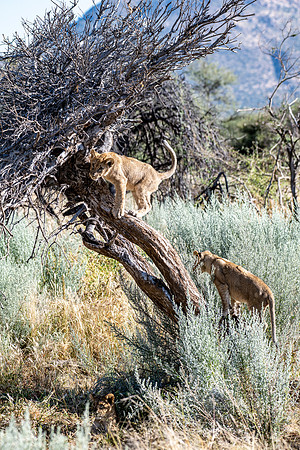 20220419_namibia-7418-2.jpg