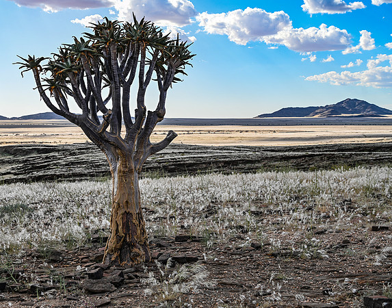 20220419_namibia-4665.jpg