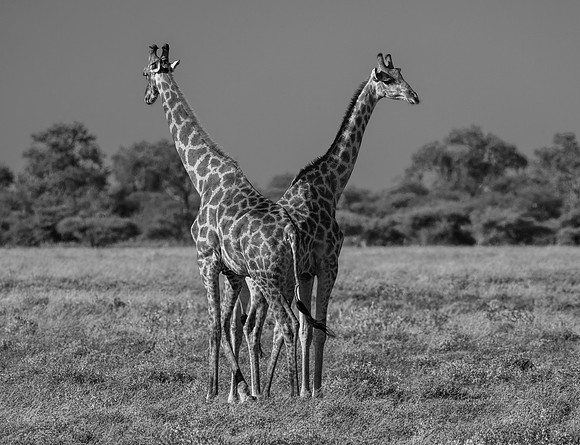 20220419_namibia-22177-2.jpg