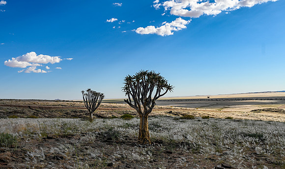 20220419_namibia-4544.jpg
