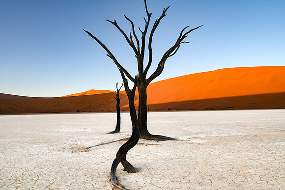 20220419_namibia-3044.jpg