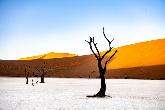 20220419_namibia-6723.jpg