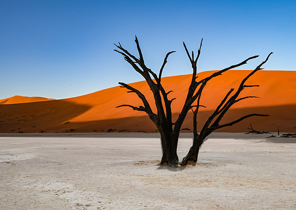 20220419_namibia-3095.jpg
