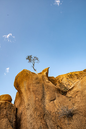20220419_namibia-15112.jpg